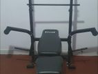 Gold cup fitness bench