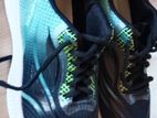 Gold Cup Shoes