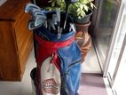 Golf Clubs With Bag