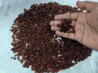 Gomed Gems