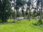 Gonagama Coconut Estate Land for Sale