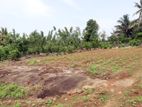Gonapola Land for Sale in Kumbuka