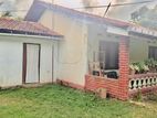 Good & Valuable Near Bus Road 54 Perches Old House For Sale Katunayaka