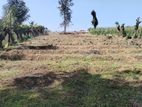 Land for Sale in Ambagasdowa