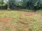 Good Bare Land for Sale Immediately in Kottawa.