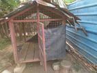 Dog Cage