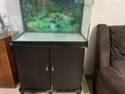 Fish Tank with Accessories