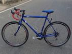 Rally Bicycle