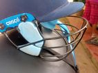 Cricket Helmet