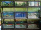9 Fish Tank with Frame