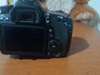 Canon 70d Camera