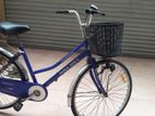 DSI Bicycle