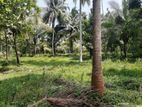 Land for Sale - Kuliyapitiya