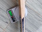 Cricket Bat