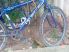 DSI Bicycle