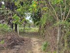 Land for Sale Kaithady