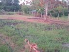 Land for sale in Lunuwila