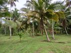 Good investment for Agriculture and farming land sale in kalawana