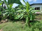 Good Land for Sale Boralasgamuwa