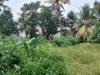 Good Land for Sale Boralasgamuwa