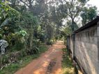 Land for Sale Anuradhapura