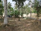 Good land for Sale Maharagama