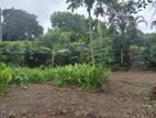 Good Land for Sale - Maharagama