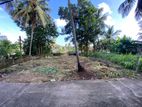 Good Land for Sale Pannipitiya