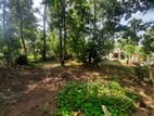 Good Residential Land for Sale in Ragama.