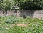 Good Residential Land Ratmalana