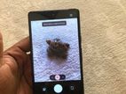 Google Pixel 6 pixiel (Used)