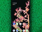 Google Pixel 6 (Used)