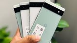 Google Pixel 6a 5G 6|128GB (Used)