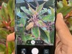 Google Pixel 7 Pro (Used)