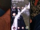 Google Pixel 7 Pro (Used)