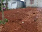 ගෝනපොල ,කුඹුක