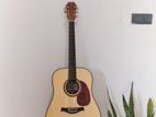 Gopher Wood G-100 NA Acoustic Guitar