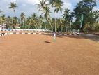Gorakana Panadura Best Land for Sale N38