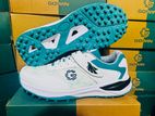 Gowin Hwak Cricket Shoes