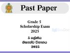 Grade 5 Scholarship Exam Past Paper Revision