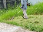 gradin services