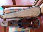 Violin
