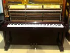 Grand Piano
