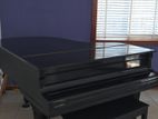 Grand Piano Yamaha