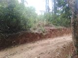 Graphite Mine Land for Sale Walapane