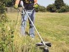 Grass Cutting