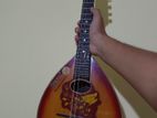 Grason Mandolin