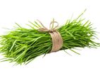 Grass Bundle