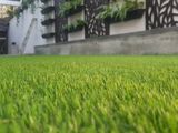 Grass Carpet Italian