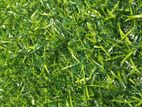 Grass Carpet